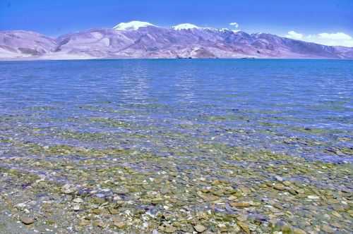 TREKKING IN LADAKH | CHANGTANG 2017